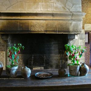 La Bérangerie Chenonceaux chambres d'hôtes et gîte Clos Lucé