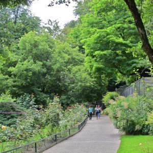 La Bérangerie Chenonceaux chambres d'hôtes et gîte Zooparc de Beauval